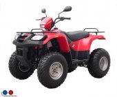 2009 Clipic Quad Llierca 250cc photo